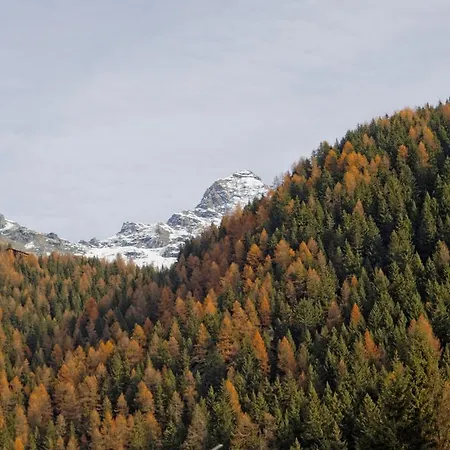 Testa Grigia Apartament Champoluc